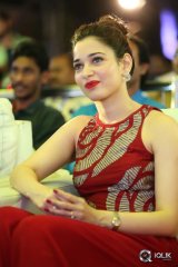 Bengal Tiger Movie Triple Platinum Disc Function